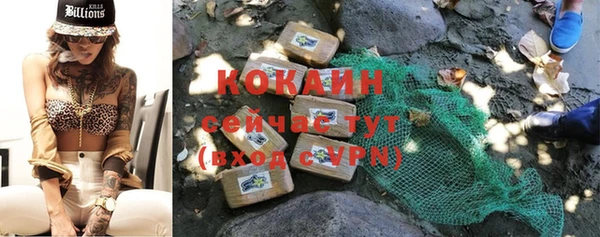 гашик Вязьма