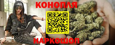 гидропоника Гусь-Хрустальный